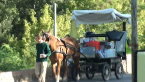 In viaggio con la Famiglia con cavallo e carrozzella dalla Francia a Roma