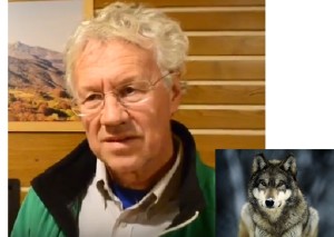 Il lupo per  Fausto Giovanelli