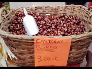 castagne-bore