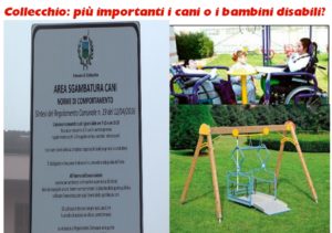 cani-vs-disabili