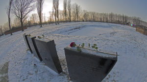 Auschwitz 2014-256
