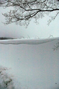 neve 2010 14