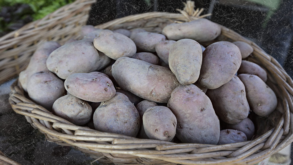 patate Rosalinda