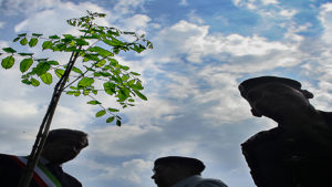 FEB albero copia