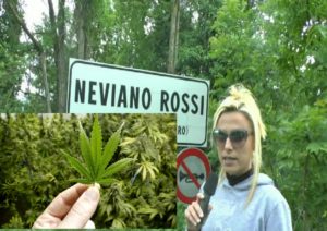 mariuana a neviano