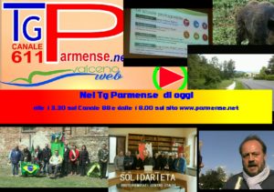 tg 30 maggio