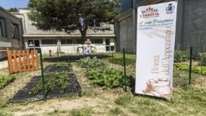 Solignano orto didattico 169