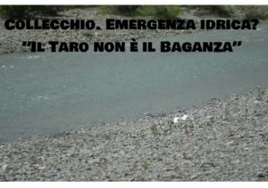 taro non baganza