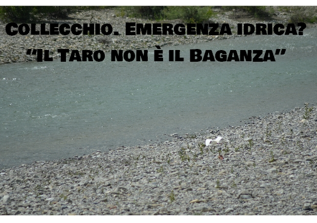 taro non baganza