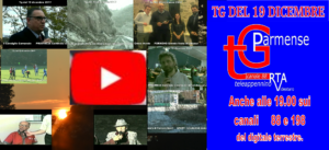 ttg 19 dic