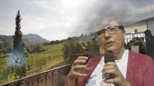 Pradarolo 169 copia