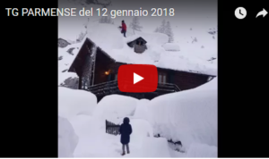 tg 12 gen