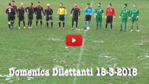 domdim copia freccia