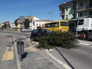 IMG-20180629-WA0009