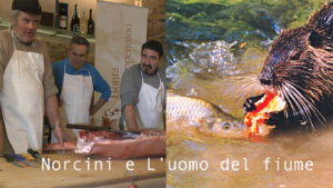SERATA FORNOVO