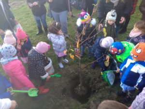 festa albero