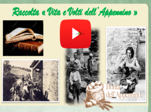 bonta freccia