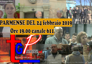 tg 24_2_19
