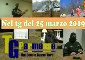 modello tg parmense 25 marzo
