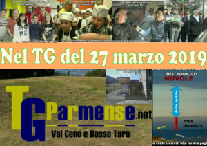 modello tg parmense