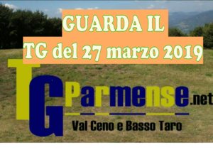 modello tg parmense29MARZO