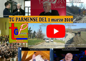 tg 1 marzo 2019