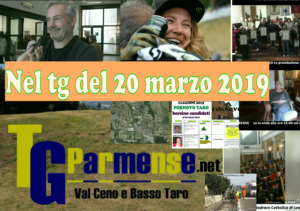 tg 20 marzo2019
