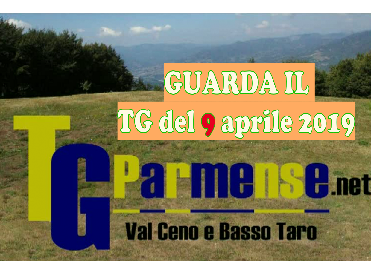 9_4_19 tg parmense