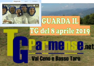 modello tg parmense