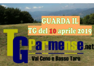 modello tg parmense