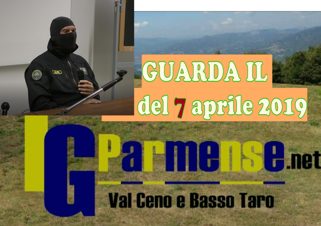modello tg parmense