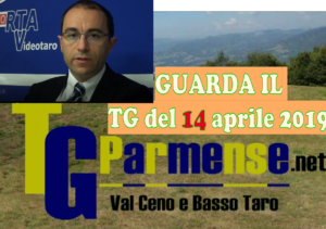modello tg parmense