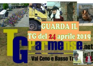 modello tg parmensetg24 aroiele