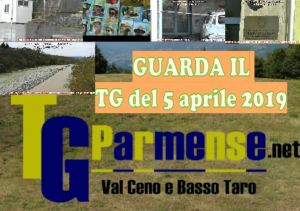 tg 5 aprile