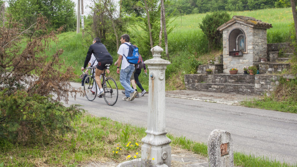 Francigena per Bardone (1 di 1)
