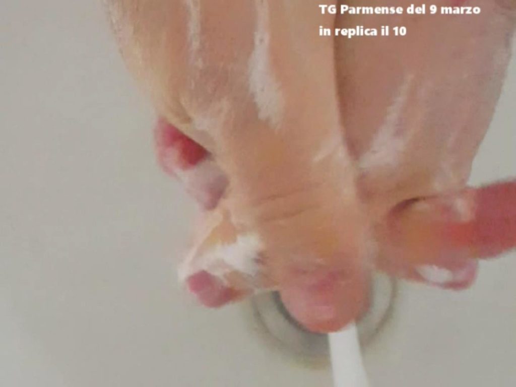 SnapShot(14)