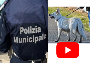 cane pl