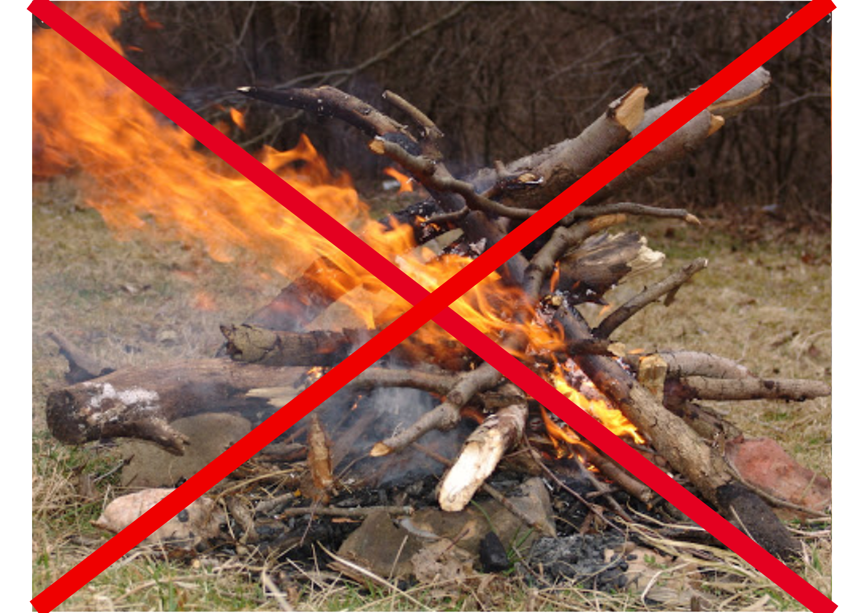 no bruciare legna