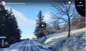 tg 6 marzo