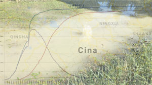 Codid-19 made China copia