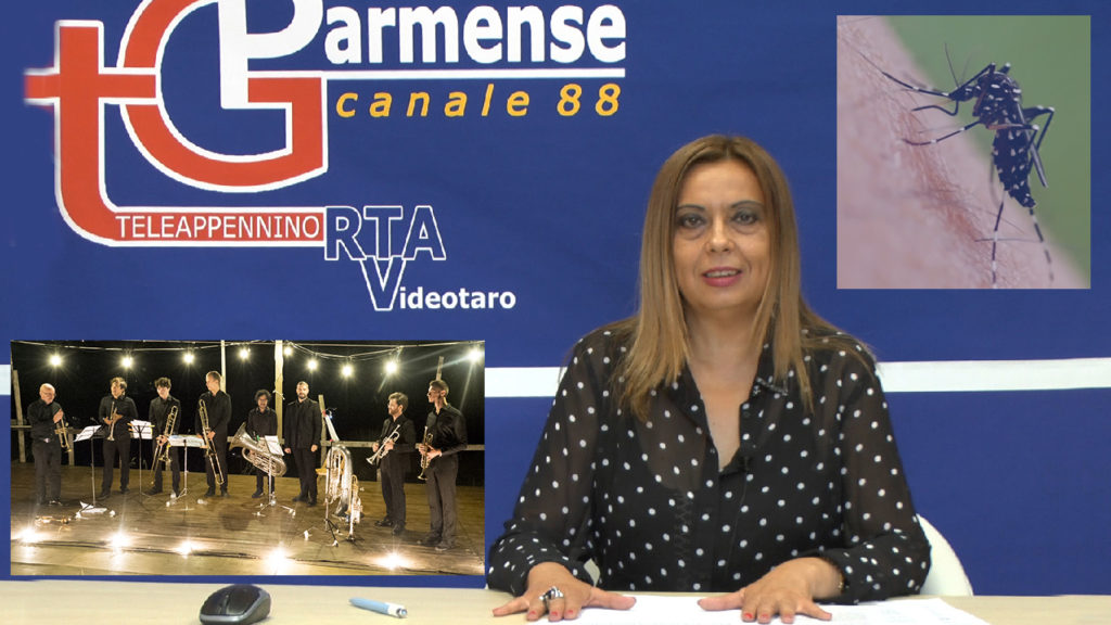 TG 31 agosto 2020 logo