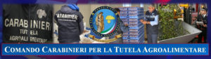 banner_Carabinieri_Tutela