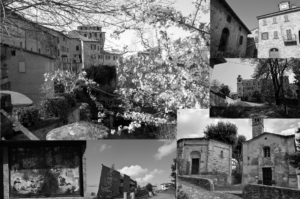 fb varano