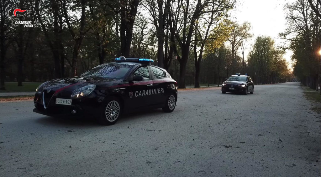 parco ducale due auto logo