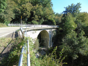 Sp_75_ xweb