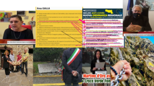tg 13 novembre