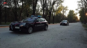 parco ducale due auto logo