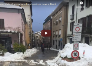 bardiu3