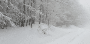 neve