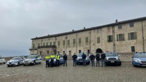 sala felino